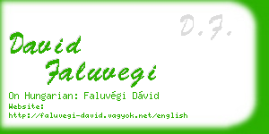 david faluvegi business card